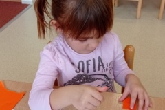 IMG_20210219_093839