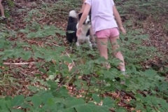 IMG_20210627_161602