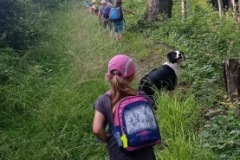 IMG_20210627_174604