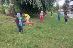 IMG_20200907_104414