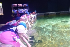 IMG_20210611_093054