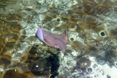 IMG_20210611_093058