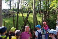 IMG_20210611_094749