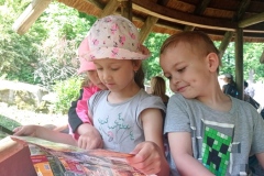 IMG_20210611_102612