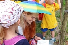 IMG_20210611_122055