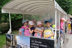 IMG_20210611_122802
