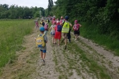 IMG_20210611_135341